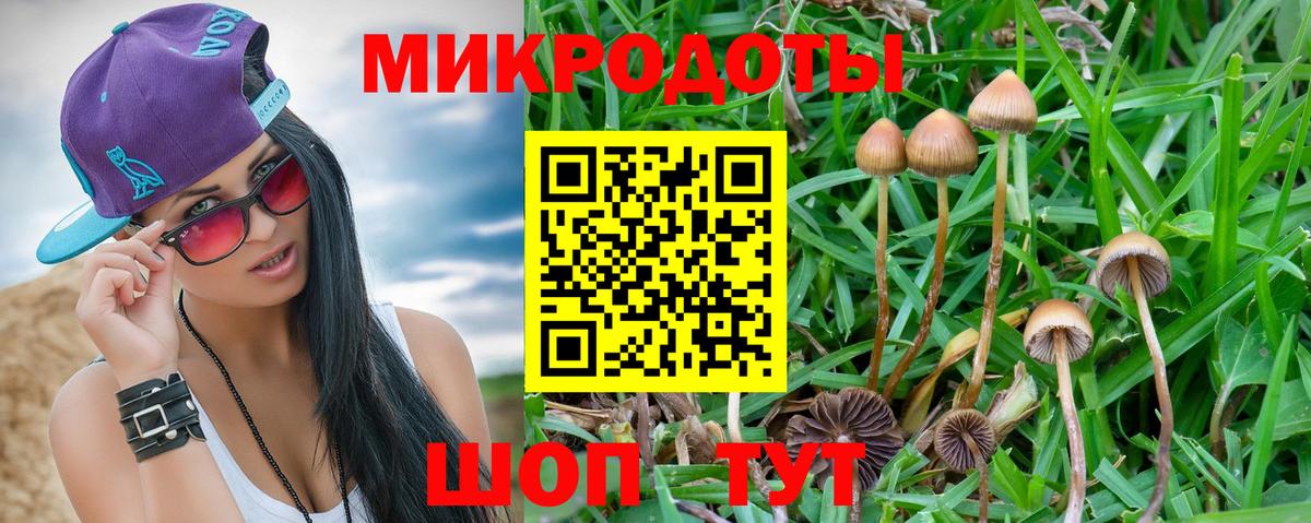 Галлюциногенные грибы GOLDEN TEACHER  Вход с VPN  Псилоцибиновые грибы Psilocybine cubensis  Кострома 